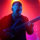 Animals as Leaders1
