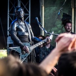 LIMP BIZKIT, 17/06/2014 AERODROME June