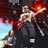 GOGOL BORDELLO 1