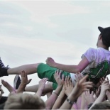 31-fans