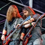 The Agonist 7