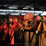 51-fans (3)