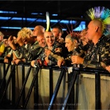 54-fans (1)