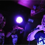 15-Drongos_For_Europe