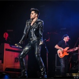 RDK_1563_Queen