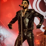 RDK_1446_Queen
