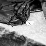 _DSC8093