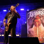 IMG_3331 -Tortharry