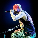 Five_Finger_Death_Punch (14)