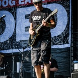 RDK_8391_Dog_Eat_Dog