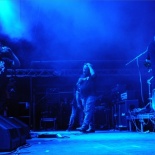 DSC_7971_PIG-DESTROYER