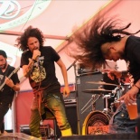 DSC_3868-FAILURE_TRACE