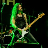 RDK_0768_Tristania