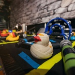 _DSC1553