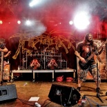 Tortharry 5