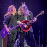 nightwish 29