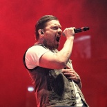 17 SHINEDOWN