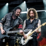 RDK_1934_Evergrey