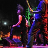 DSC_z0540-Cattle_Decapitation