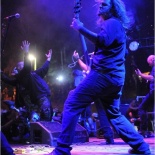 DSC_z0437-Cattle_Decapitation