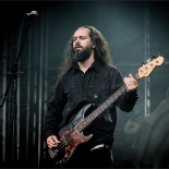 RDK_1920_Evergrey