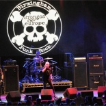 DSC_2642-Drongos_For_Europe