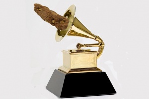 A Grammy za rok 2016 získává…