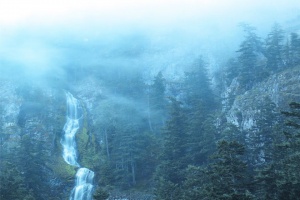 Atmosférické soboty: WOLVES IN THE THRONE ROOM – „Diadem of 12 Stars“
