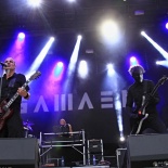 IMG_3346 (1)