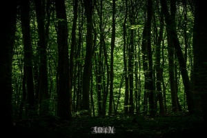 Atmosférické soboty: LOTH – „Apocryphe“