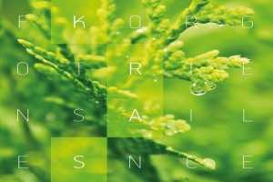 Předprodej nového CD a triček FORGOTTEN SILENCE právě zahájen