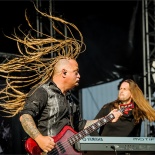 RDK_6096_Kamelot