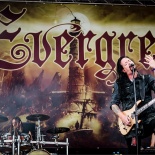 RDK_7067_Evergrey