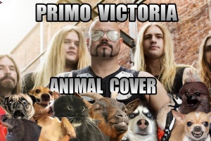 Neslýchané! Hymna SABATON ve spárech zvířat