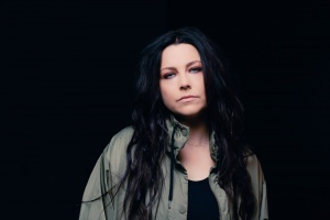 EVANESCENCE: Román o vzestupu a pádu