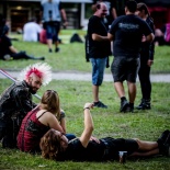 RDK_5584__fans