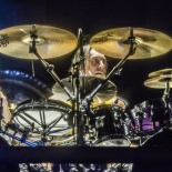 Tool (15)