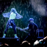 RDK_8255_Guano Apes