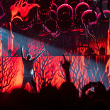 1 - Architects (26)