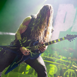 Pantera 17