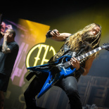 Pantera 11
