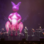 TAPS_28 (34)