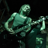 Deadroots 15