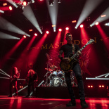 MASTODON (17)