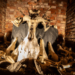 Brutal Assault 07 (3)