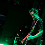 DOGSTAR (18)