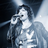 CITRON - 13.4.2013, Pardubice, Žlutý pes