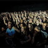 RDK_8170_Scar_Symmetry