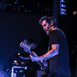 DOGSTAR (10)