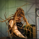 Masters of Rock 2011 - vol. III 